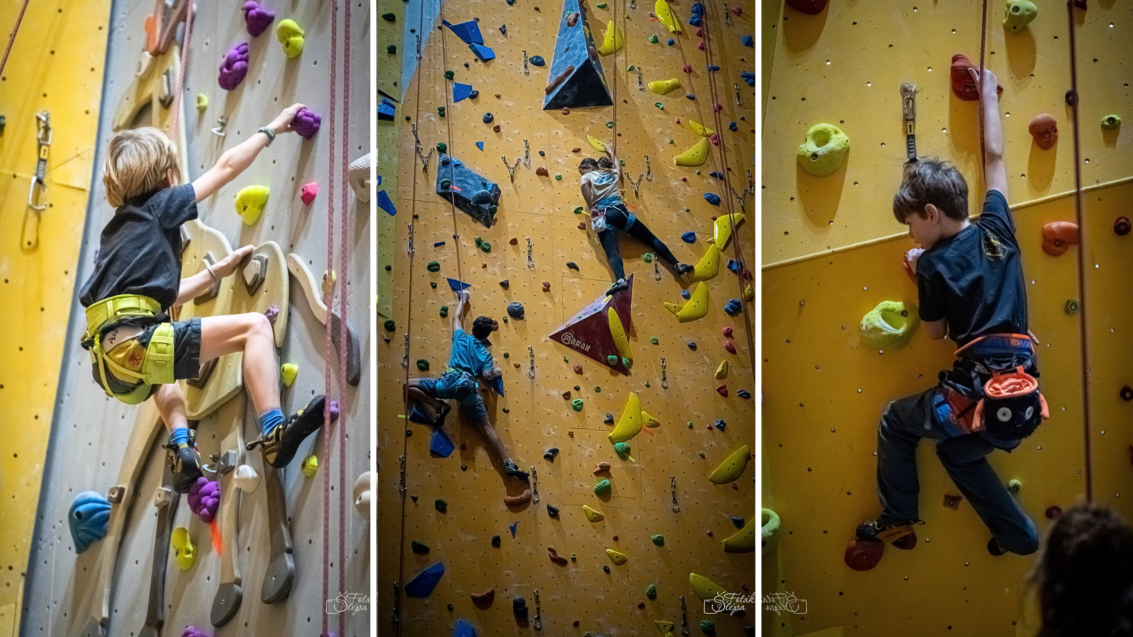 obrázky do článků - 19